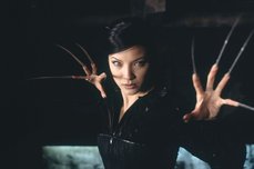 Kelly Hu as Yuriko Oyama Deathstrike: X2