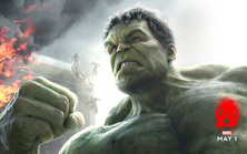 Mark Ruffalo as Dr. Bruce Banner / The Hulk: Avengers: Age of Ultron