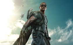 Anthony Mackie as Sam Wilson / Falcon: Captain America: The Winter Soldier