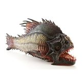 Piranha 3DD: Hero Silicone RC Fish